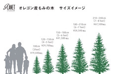 カイト株式会社のプレスリリース画像3