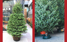 カイト株式会社のプレスリリース画像2