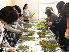 カイト株式会社のプレスリリース画像3