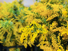 カイト株式会社のプレスリリース画像2