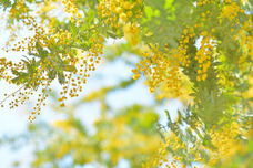 カイト株式会社のプレスリリース画像2