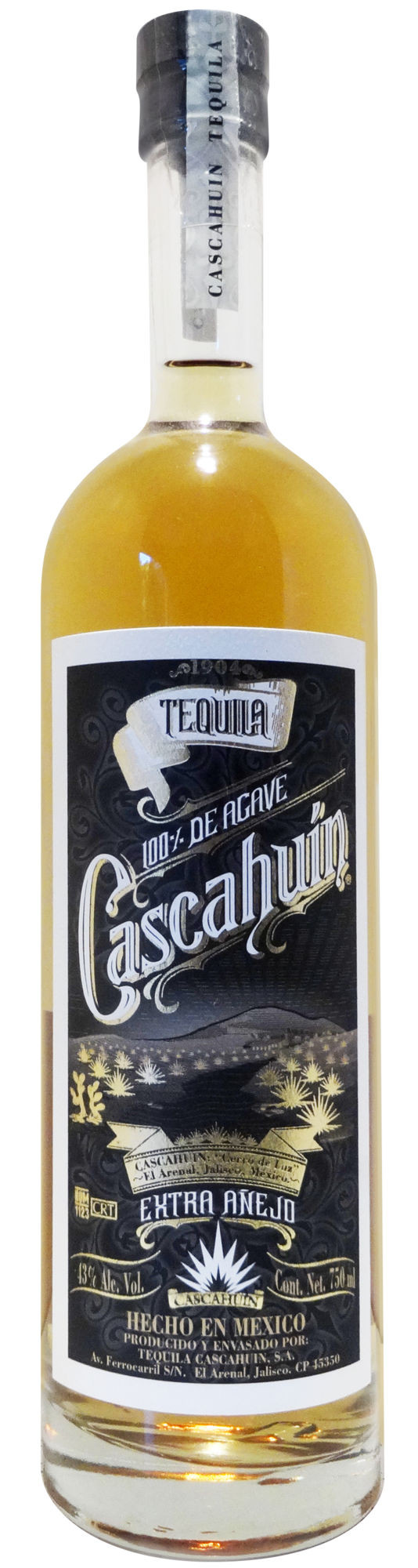 re-vue合同会社のプレスリリース画像2