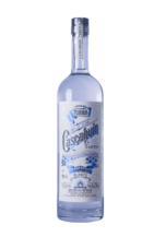 re-vue合同会社のプレスリリース