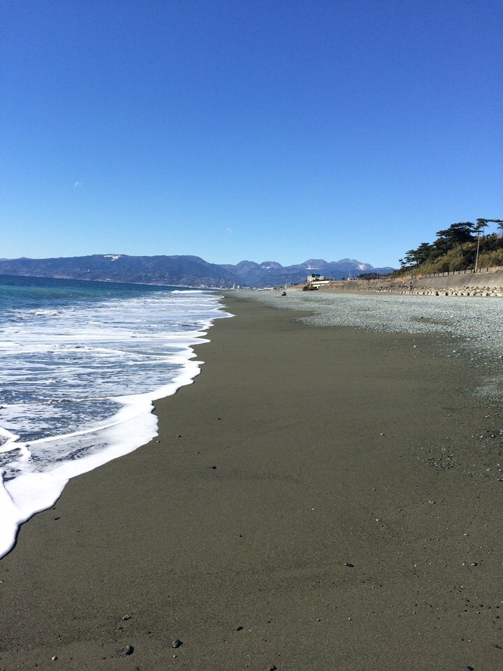 shareffice THE CAMPのプレスリリース画像3