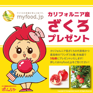 ざくろ協会日本広報事務局のプレスリリース画像1