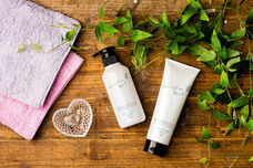 株式会社ケンジのプレスリリース画像1