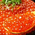 株式会社KIDS/品川ときしらずのプレスリリース画像5