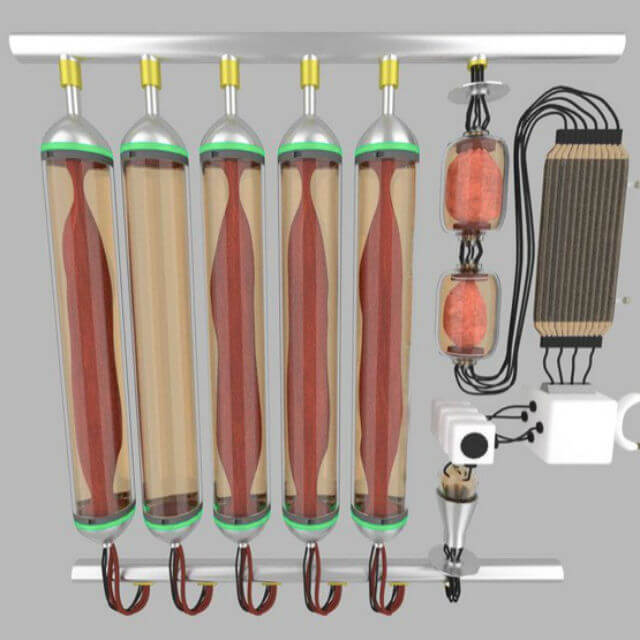 インテグリカルチャー株式会社のプレスリリース