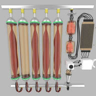 インテグリカルチャー株式会社のプレスリリース画像1