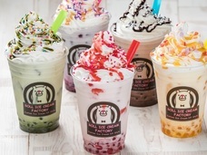 株式会社トレンドファクトリーのプレスリリース画像6