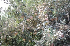 株式会社トレンドファクトリーのプレスリリース画像8