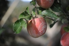 株式会社トレンドファクトリーのプレスリリース画像3