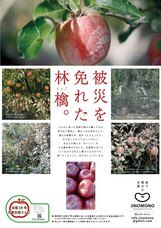 株式会社トレンドファクトリーのプレスリリース画像5