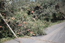 株式会社トレンドファクトリーのプレスリリース画像4