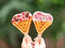 株式会社トレンドファクトリーのプレスリリース画像4