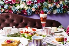 株式会社トレンドファクトリーのプレスリリース画像1