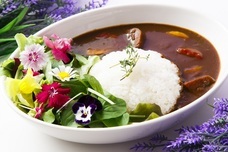 株式会社トレンドファクトリーのプレスリリース画像10