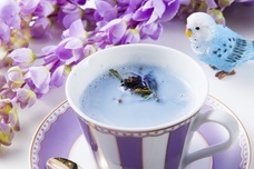 株式会社トレンドファクトリーのプレスリリース画像5