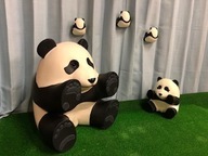 有限会社　小島塗装所のプレスリリース画像1