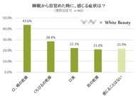 株式会社NEXERのプレスリリース画像1