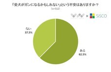 株式会社NEXERのプレスリリース15