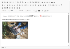 株式会社マレントのプレスリリース画像7