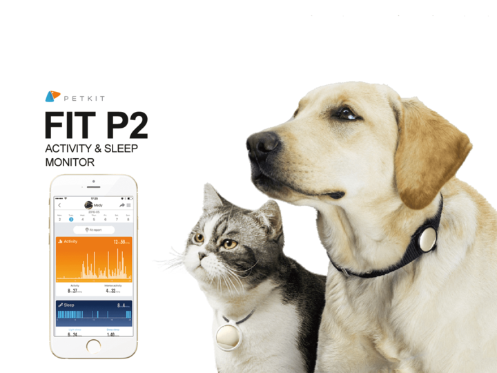 株式会社ベムパートナーのプレスリリース画像1