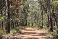 ワールドワントレーディング株式会社のプレスリリース画像7