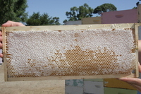 ワールドワントレーディング株式会社のプレスリリース画像10