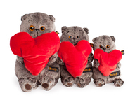 株式会社イーダスのプレスリリース画像5