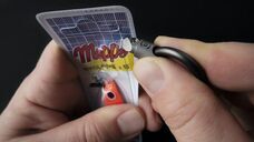 株式会社Cycleのプレスリリース画像5