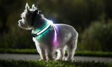 株式会社Cycleのプレスリリース画像8