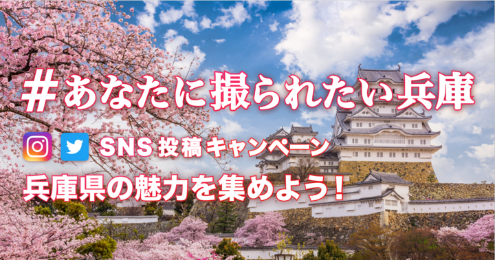 株式会社ごちぽんのプレスリリース