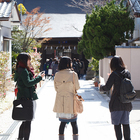 こかげカフェL'ombrageのプレスリリース