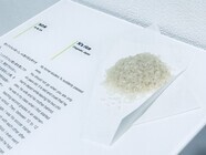 株式会社 カネコ・アンド・アソシエイツ・ジャパンのプレスリリース画像5