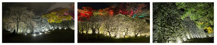 日本たばこ産業株式会社のプレスリリース画像7