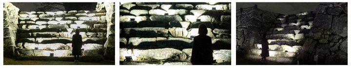 日本たばこ産業株式会社のプレスリリース画像8