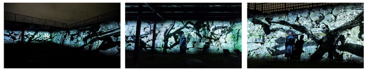 日本たばこ産業株式会社のプレスリリース画像9