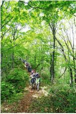 飛騨市のプレスリリース画像1