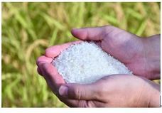 飛騨市のプレスリリース画像2