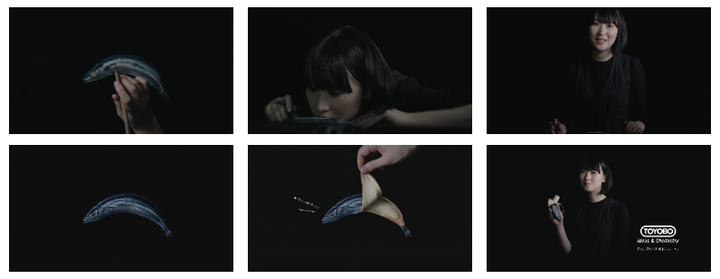 東洋紡株式会社のプレスリリース画像4