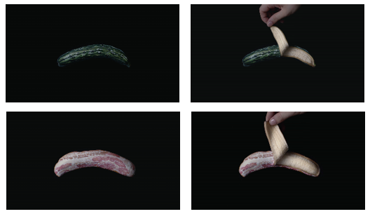 東洋紡株式会社のプレスリリース画像5
