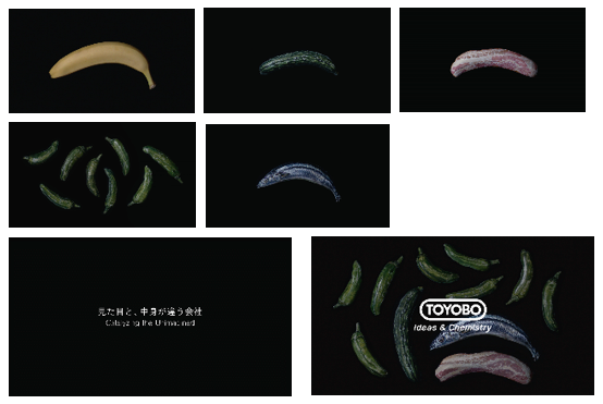 東洋紡株式会社のプレスリリース画像7