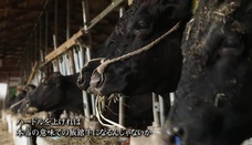 福島県のプレスリリース画像6