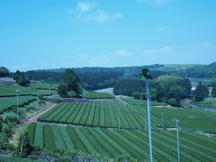 Tea craft worksのプレスリリース画像9