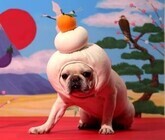 ロート製薬株式会社 のプレスリリース画像1