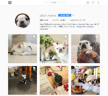 ロート製薬株式会社 のプレスリリース画像8