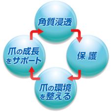 株式会社北の達人コーポレーションのプレスリリース画像3