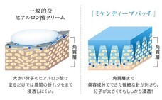 株式会社北の達人コーポレーションのプレスリリース画像3