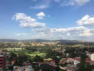 タイガーモブ株式会社のプレスリリース画像2